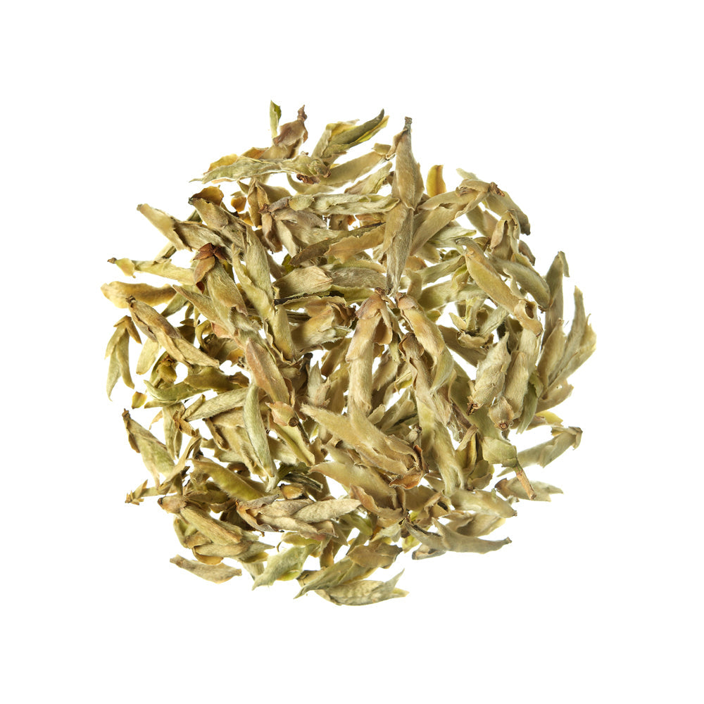 Biely čaj Ya Bao Silver Buds Čína 50g
