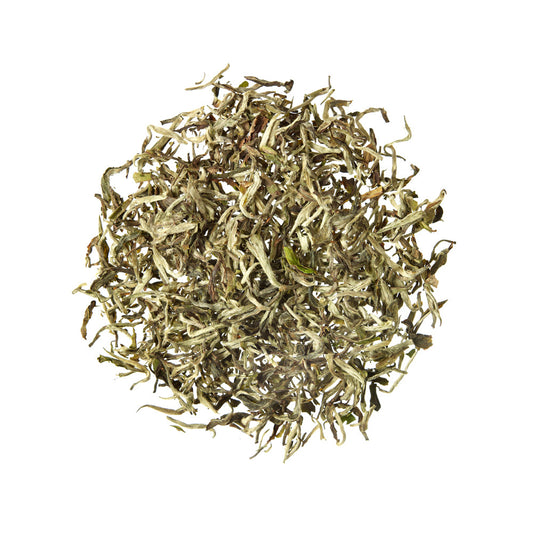 Shangri-La Nepál Organický biely čaj 50g